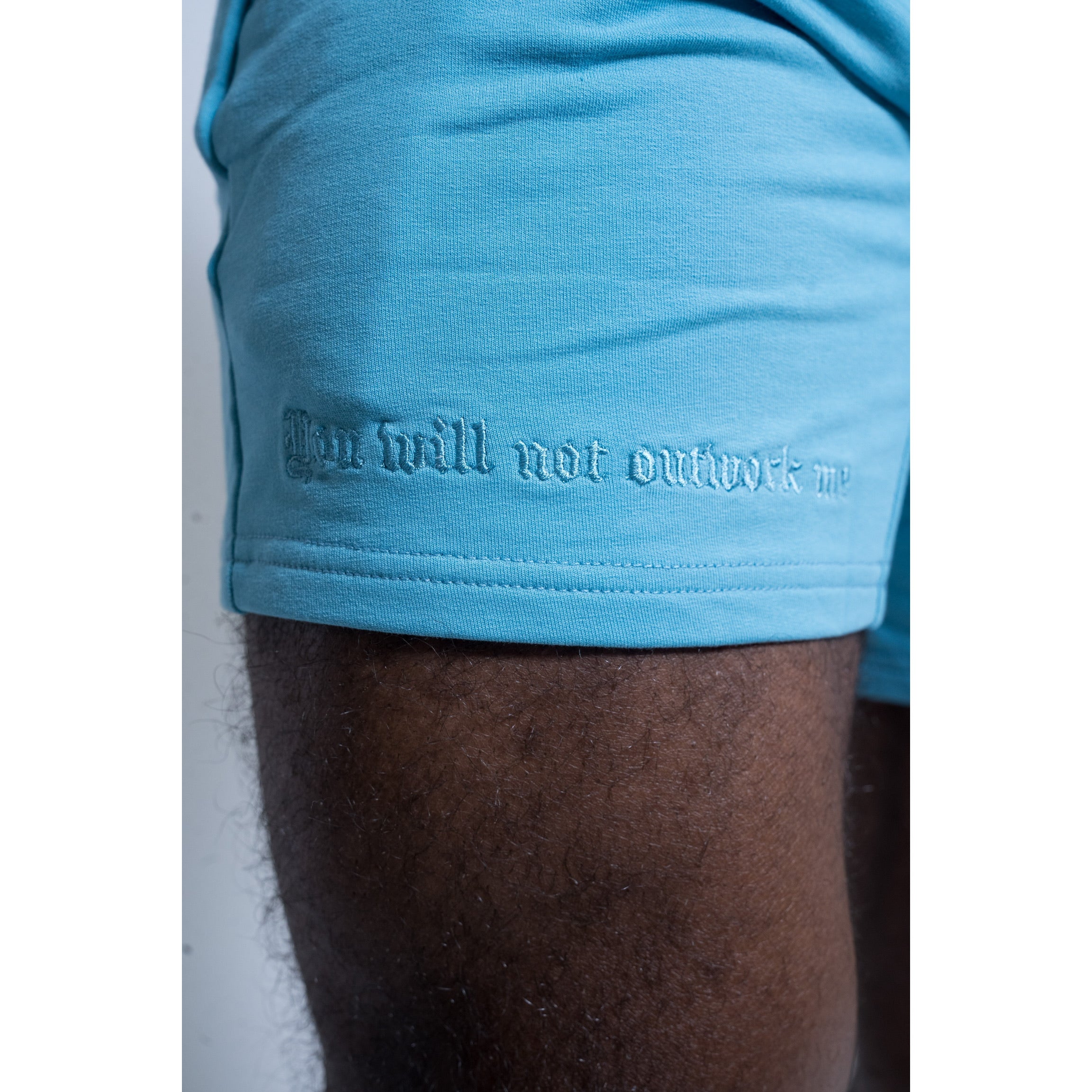 Blueberry Jogger Shorts